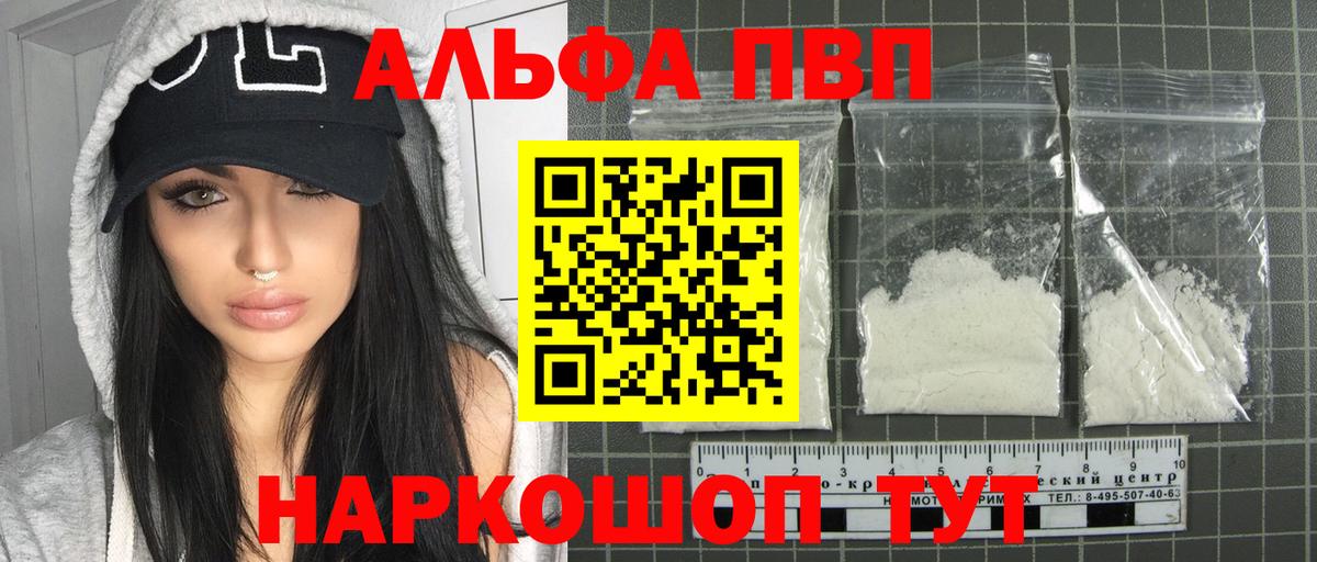 Alfa_PVP СК Кондопога