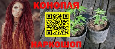 spice Бузулук