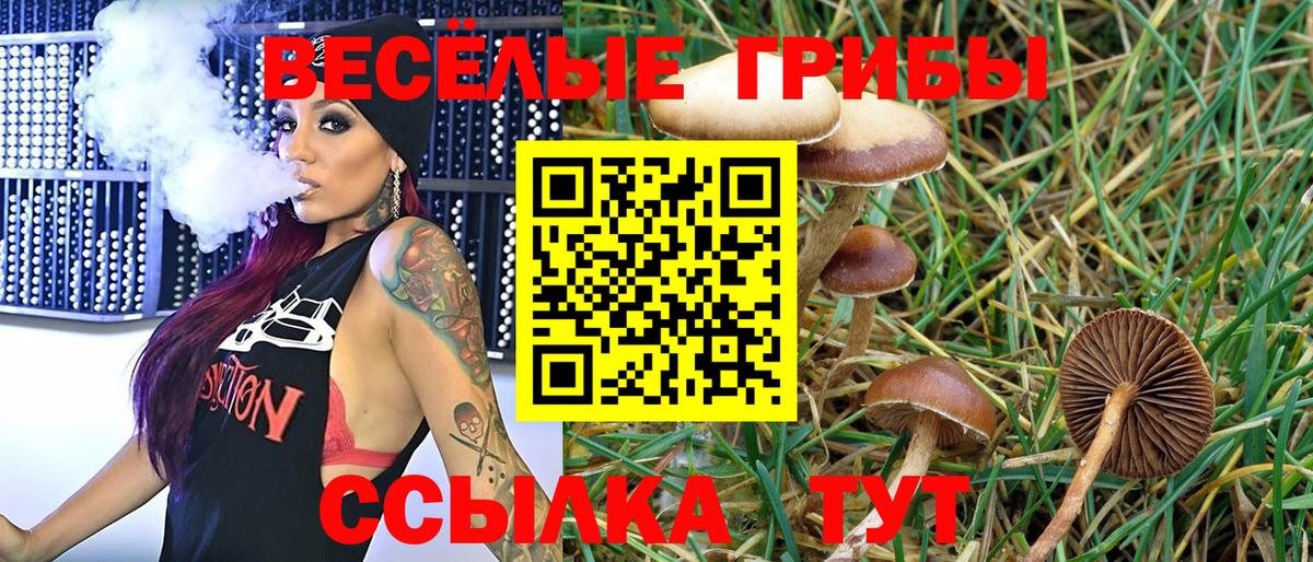 Галлюциногенные грибы мицелий  Вход с VPN  Кондопога 